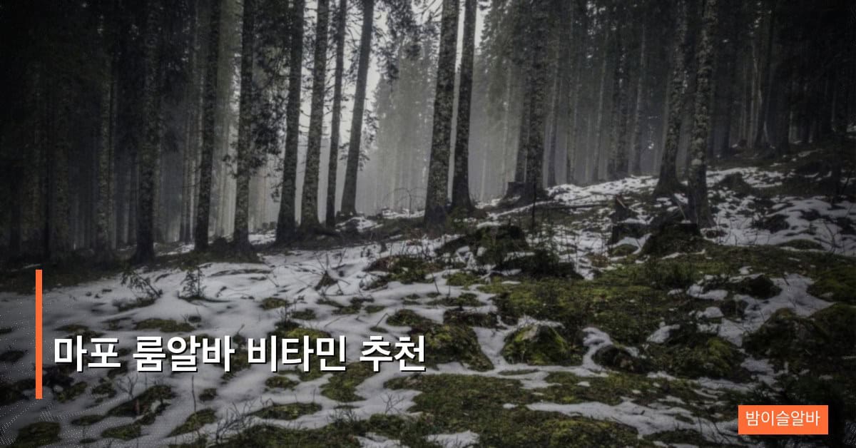 마포 룸알바 비타민 추천