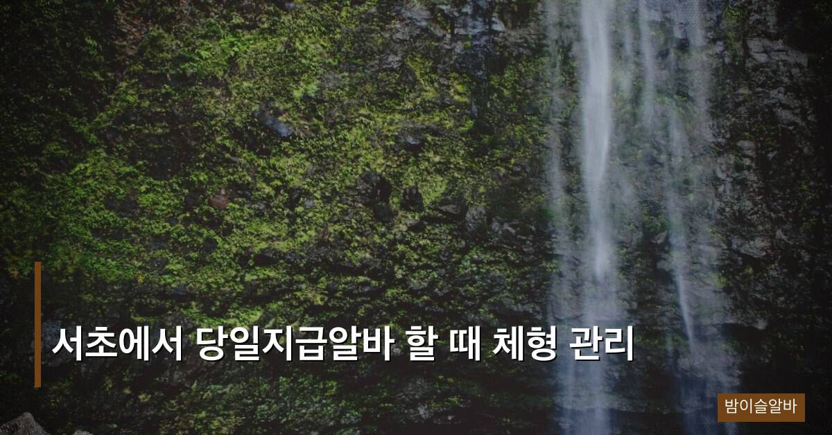 서초에서 당일지급알바 할 때 체형 관리