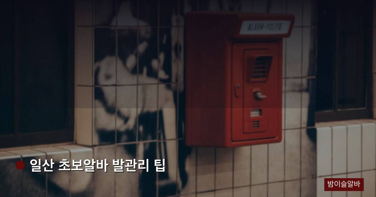 일산 초보알바 발관리 팁