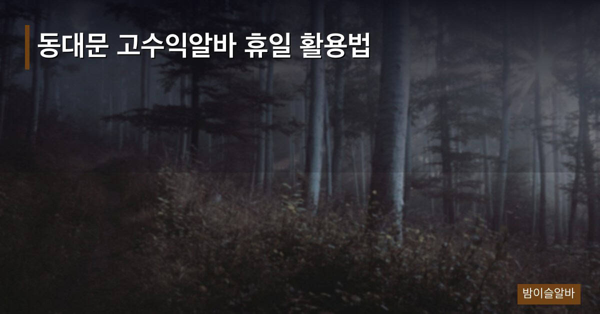 동대문 고수익알바 휴일 활용법
