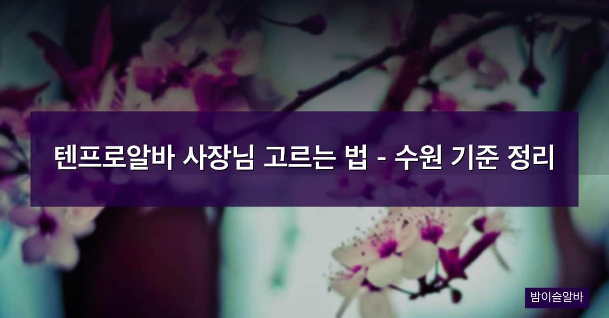 텐프로알바 사장님 고르는 법 – 수원 기준 정리