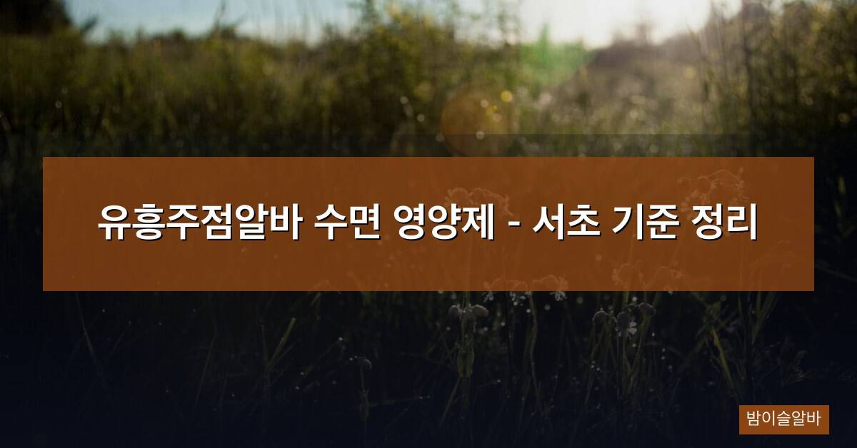 유흥주점알바 수면 영양제 – 서초 기준 정리