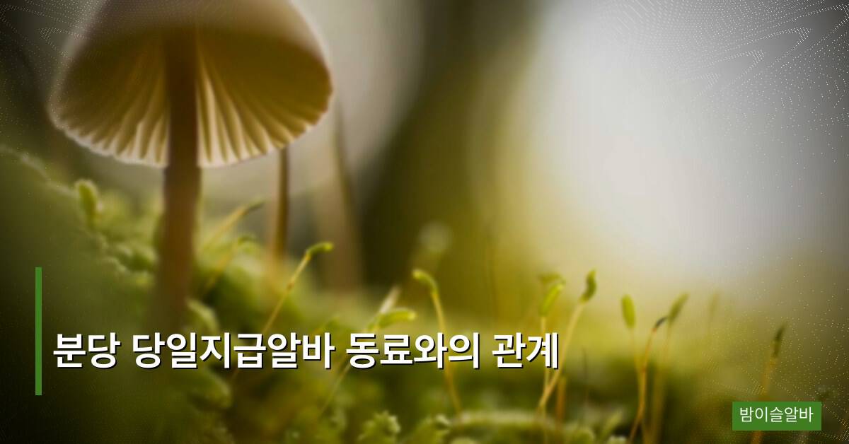 분당 당일지급알바 동료와의 관계