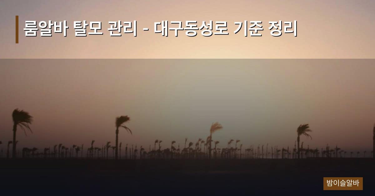 룸알바 탈모 관리 – 대구동성로 기준 정리