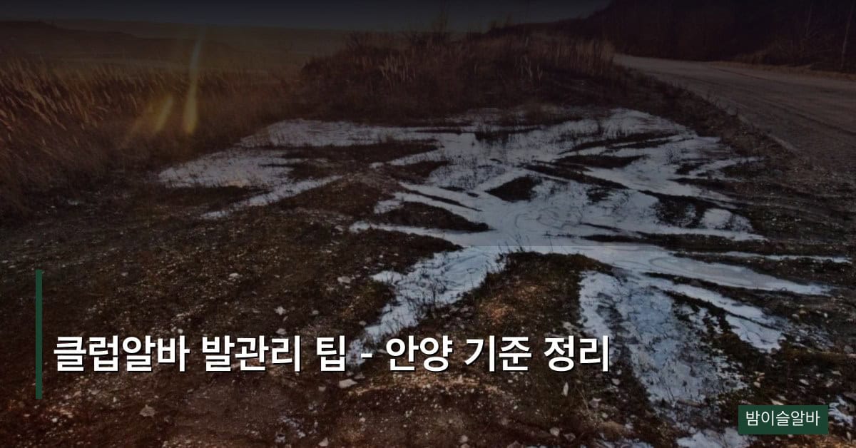 클럽알바 발관리 팁 – 안양 기준 정리
