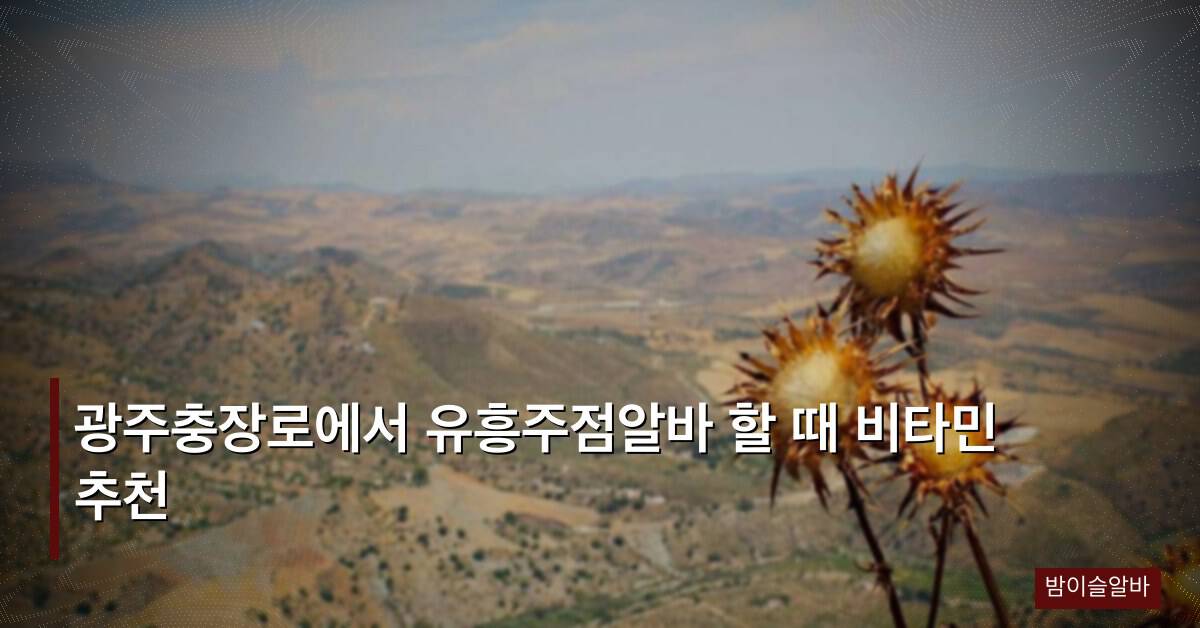 광주충장로에서 유흥주점알바 할 때 비타민 추천